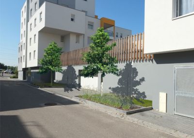 logements Habitat de l'ill à Lingolsheim - photo PSA